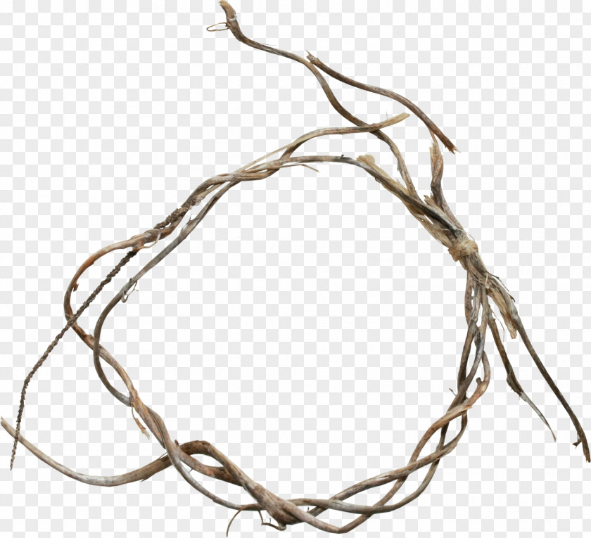 Brown Branches Ring Twig Branch Scrapbooking Albom PNG