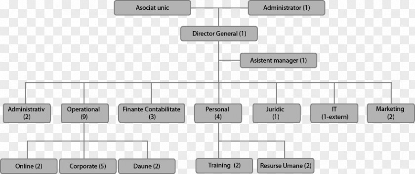 Grams Company Organizational Chart Management Consulting Cargo Transport PNG