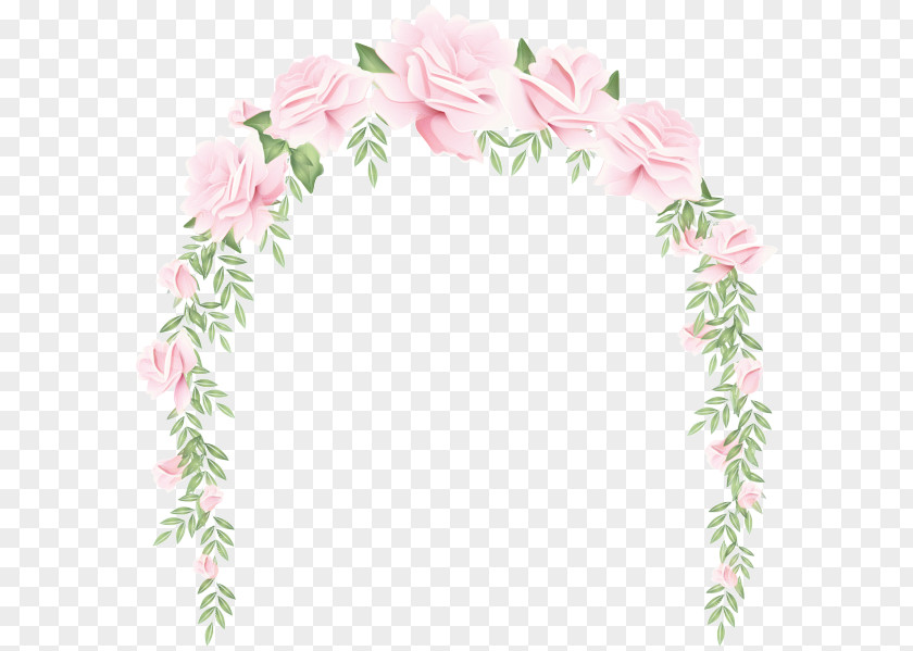 Plant Pink Garden Roses PNG