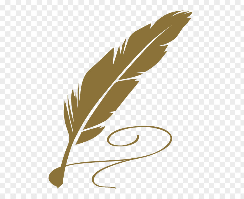 Poetry Verse Feather Writing PNG