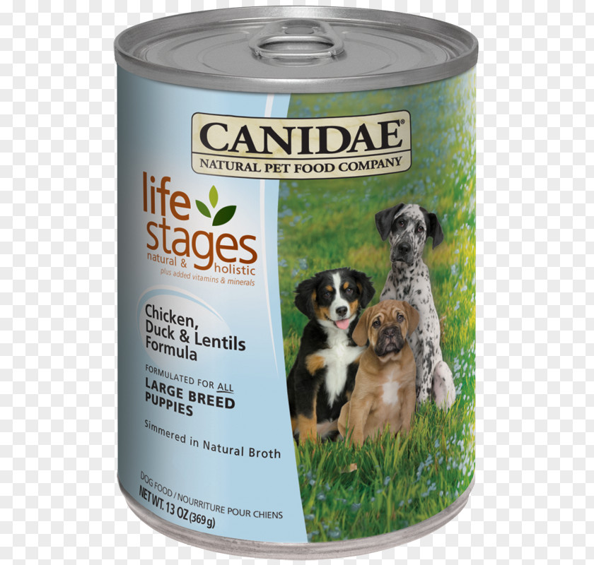 Puppy Dobermann Dog Food Canidae Duck Meat PNG