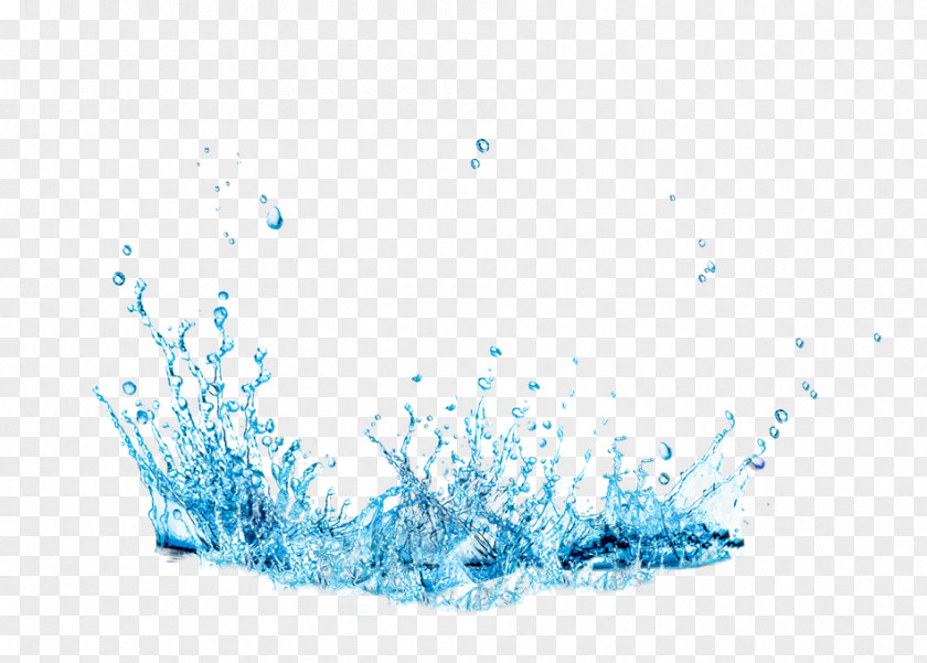 Splashes Water Drops Drop Splash PNG