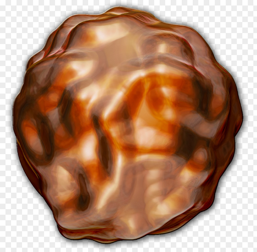 Vibrant Praline Mussel Clam Oyster Seashell PNG