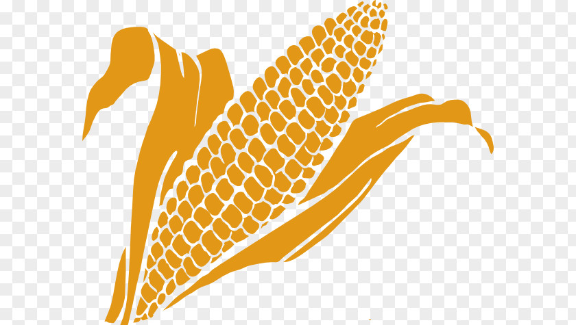 Corn Kernels On The Cob Maize Kernel Clip Art PNG