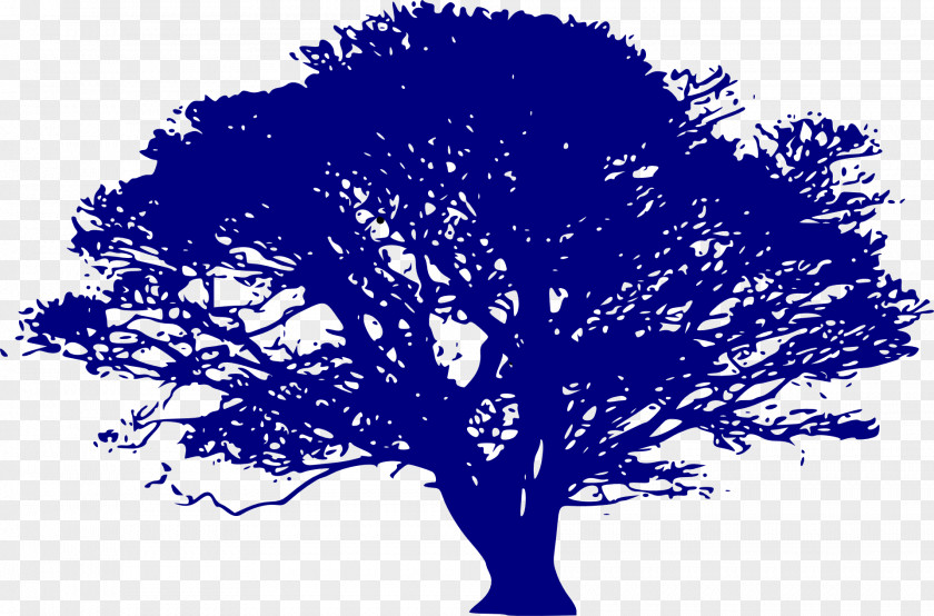 Natural Environment Tree Silhouette Clip Art PNG