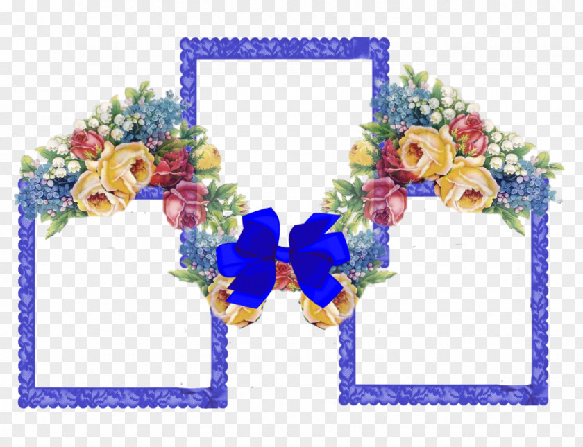 Picture Frames Floral Design Photography PNG