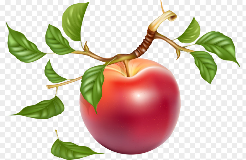 Red Apple Against His Will Label Sticker PNG