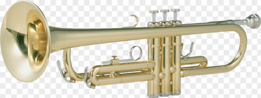 Trumpet Brass Instrument Musical PNG