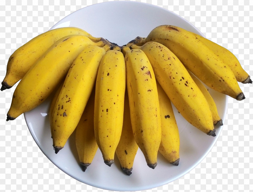 Banana Saba Cooking Food Recipe PNG