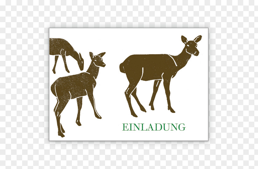 Birthday Hunting Convite Roe Deer Reindeer PNG