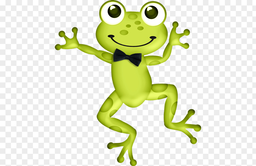 Cartoon Frog Tree Giant Panda Lithobates Clamitans Clip Art PNG