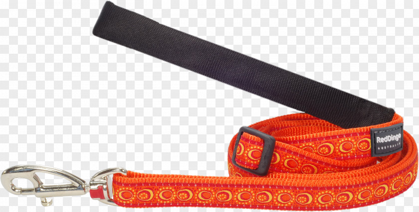 Dog Leash Dingo Collar Length PNG