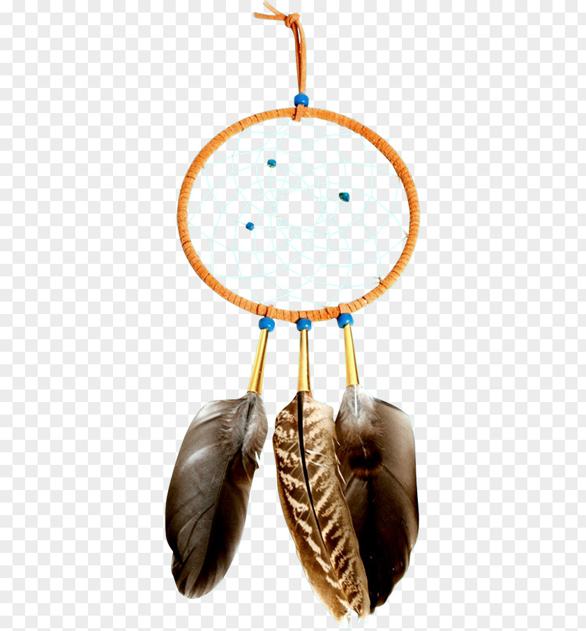 Dreamcatcher Feather PNG