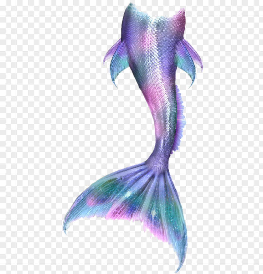 Mermaid Drawing Merman Siren Image PNG