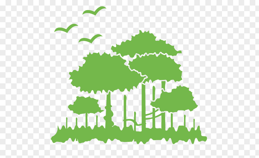 Natural Environment Clip Art PNG