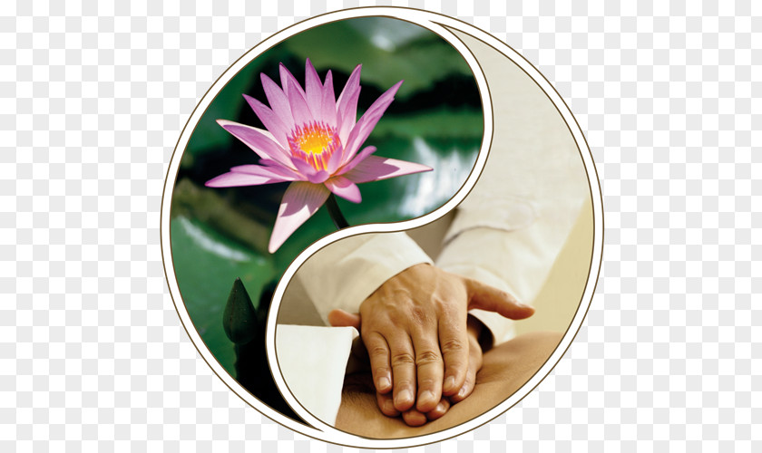 Oneself Massage Therapy Alternative Health Services National Holistic Institute Spa PNG