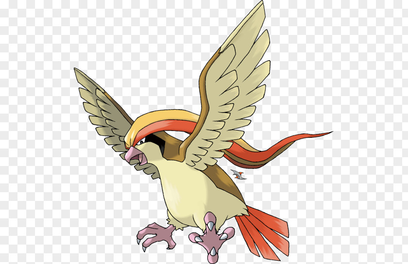 Pidgeot Pokémon X And Y Pidgeotto Pikachu PNG