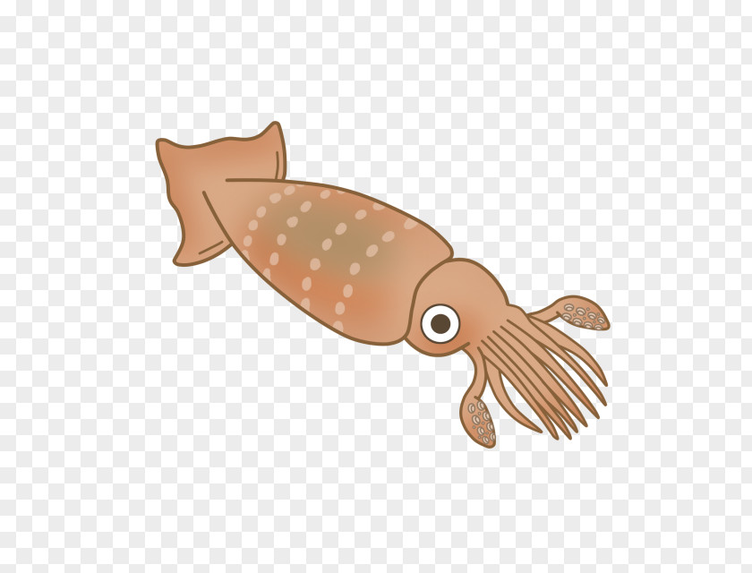 Squid Clipart Seafood Fish Clip Art PNG