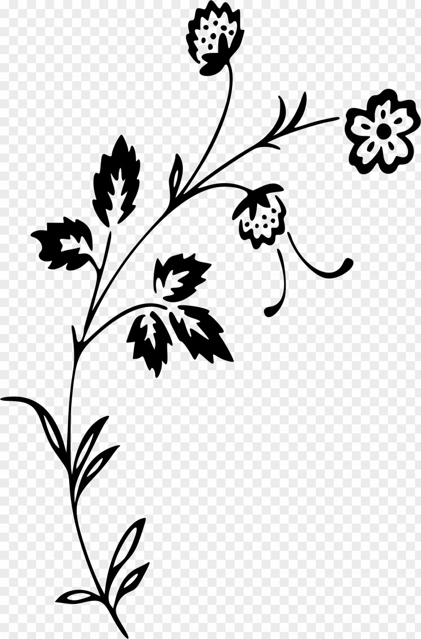 Chrysanthemum Flowers Clip Art PNG