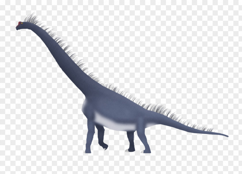 Feather Velociraptor Brachiosaurus Giraffatitan Dromaeosaurus Carnotaurus PNG