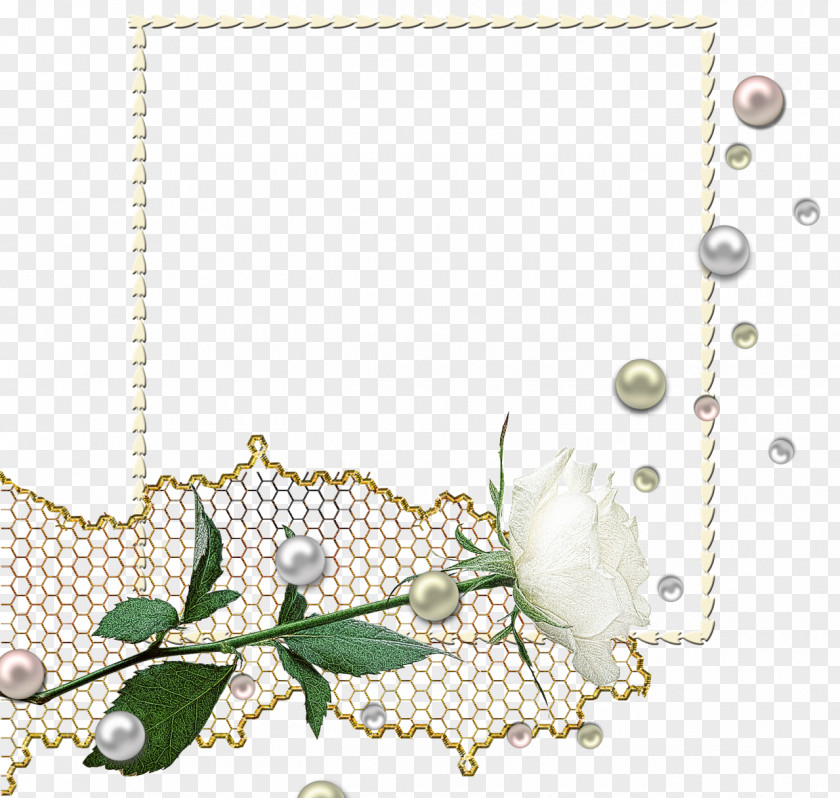 Flower Pearl Necklace Jewellery Earring PNG