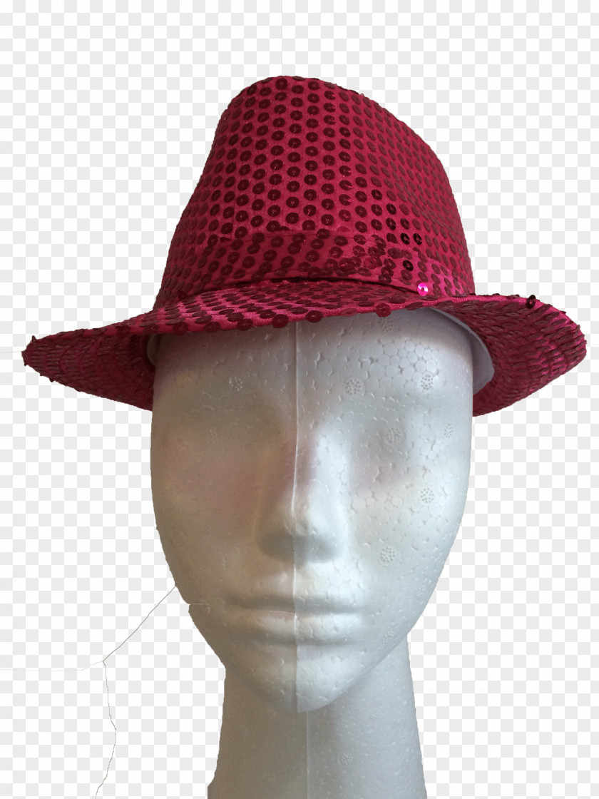 Hat Sun Fedora Maroon PNG