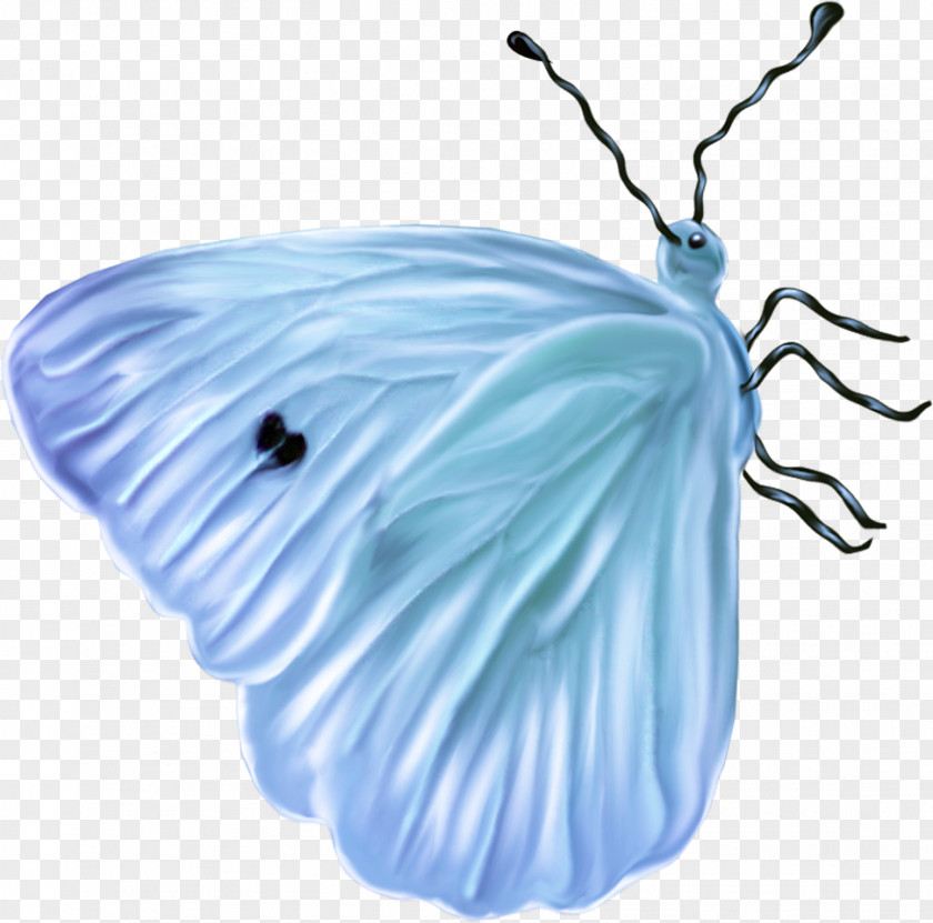 Insect Butterfly Blue Bee PNG