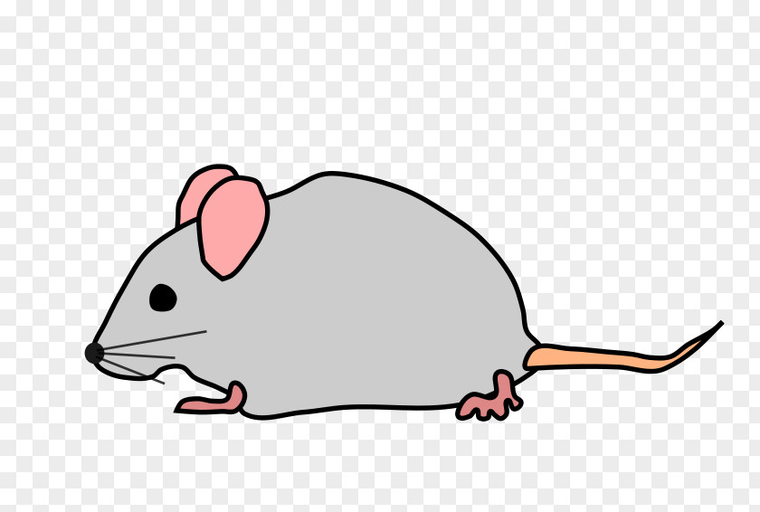 Mouse Biting Cliparts Computer Mickey Clip Art PNG