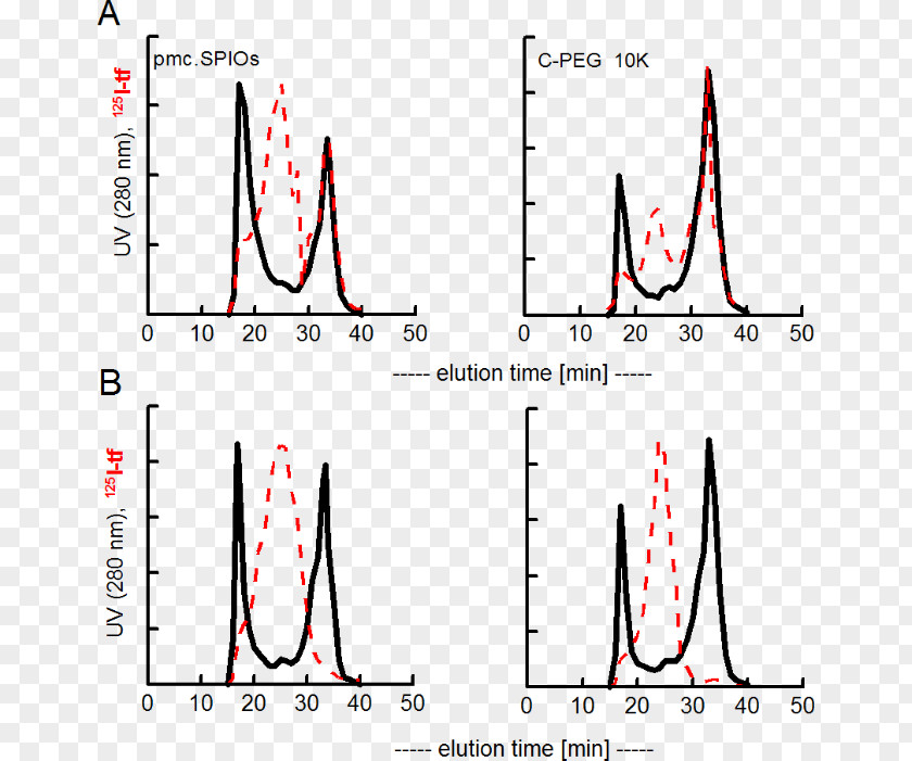 Size-exclusion Chromatography Dynamic Light Scattering Protein Maleic Anhydride PNG