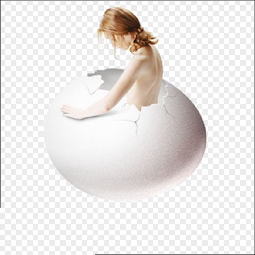 Beautiful Eggs Hatched Ab Ovo Chicken PNG