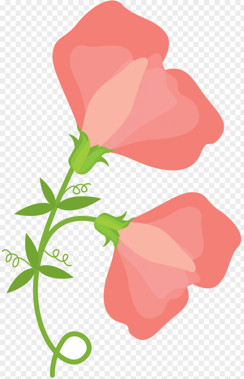 Garden Roses Clip Art Floral Design Plant Stem Petal PNG