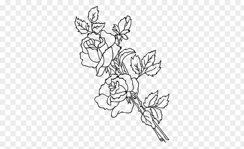 Rose A Grappolo Plant Stem Floral Design Drawing Flower PNG