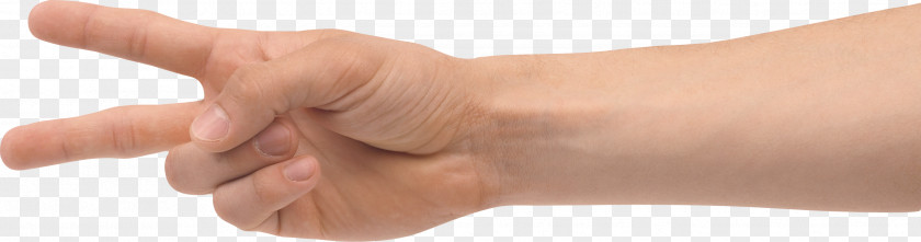 Hands , Hand Image Free Thumb PNG