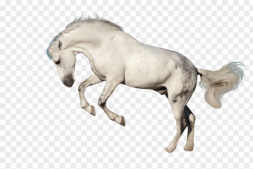 Mustang Horse Pony Animal Figure Mane Stallion Mare PNG