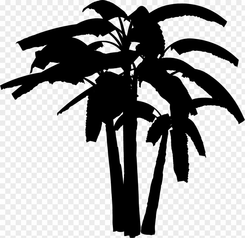 Palm Trees Clip Art Leaf Plant Stem Flower PNG