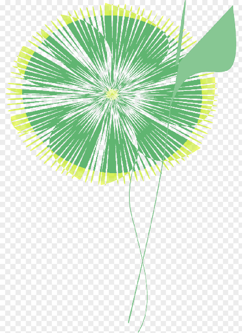 Dream Flower Vector Graphics Clip Art Painting Illustration PNG