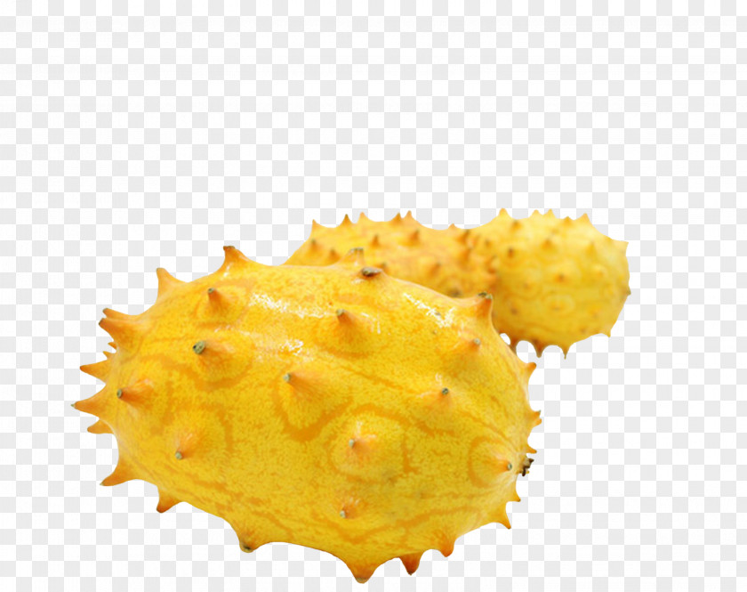 Free To Pull The Horned Melon Image Muskmelon Cucumber Fruit PNG