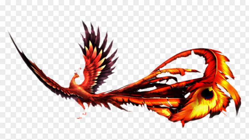 Phoenix Fenghuang Clip Art PNG