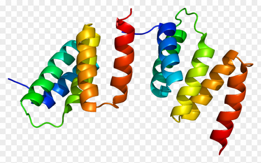 Procollagen-proline Dioxygenase Hydroxylation Wikipedia P4HA1 PNG