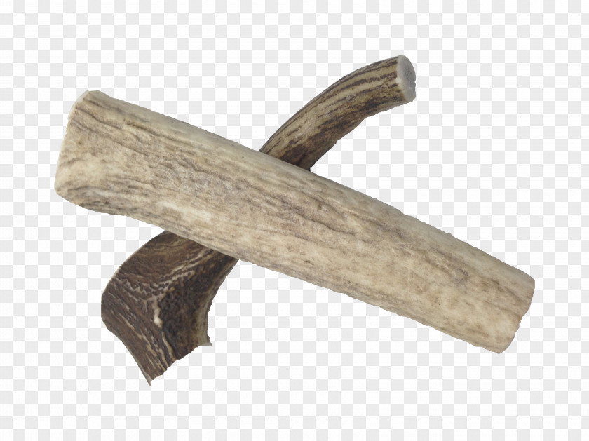 Antler Wood PNG