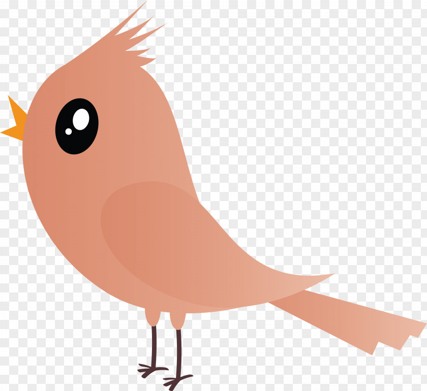 Bird Cartoon Beak European Robin Tail PNG