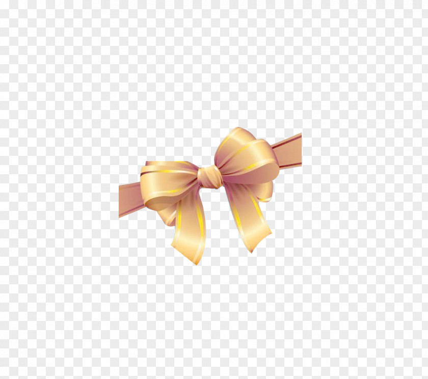 Bow Download Email Icon PNG
