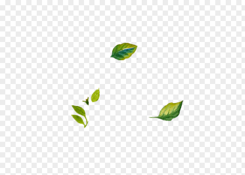 Foliage Leaf Design Image Adobe Photoshop PNG