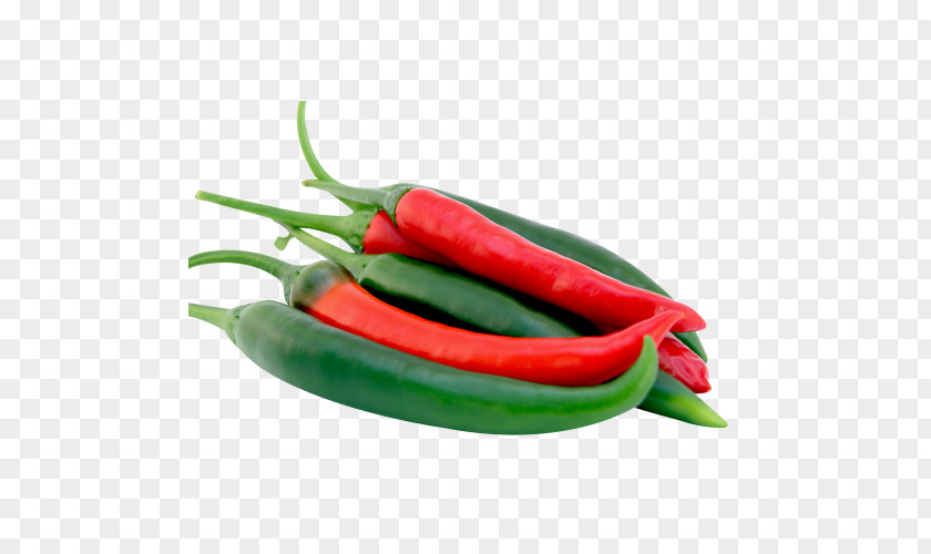 Hot Peppers Mirchi Ka Salan Chili Pepper Leaf Vegetable Serrano PNG