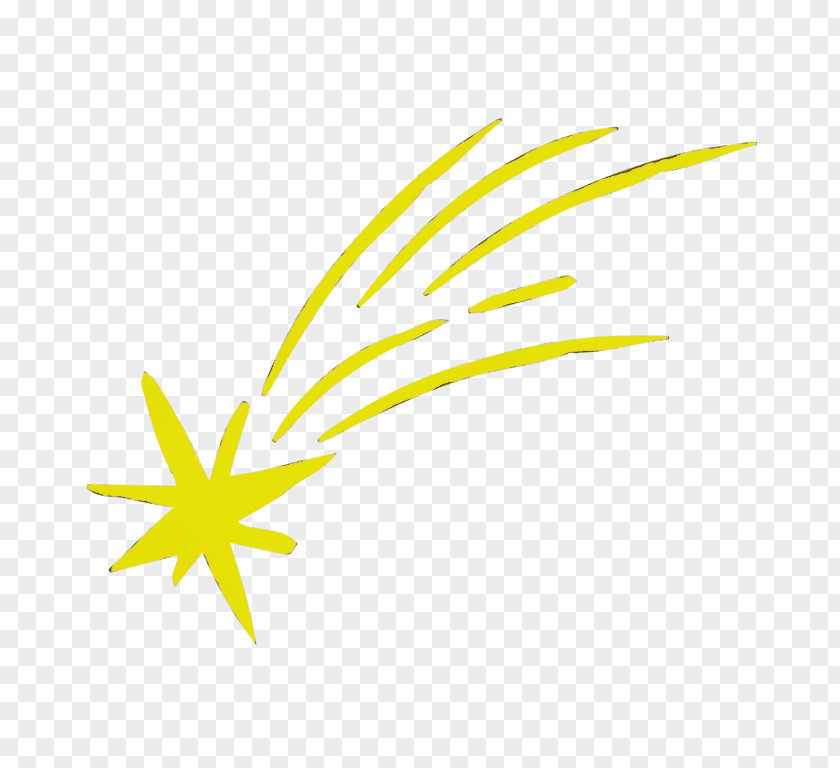 Logo Plant Shooting Star PNG