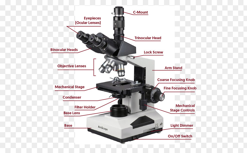 Microscope Clincal Light Phase Contrast Microscopy Optical Dark-field PNG