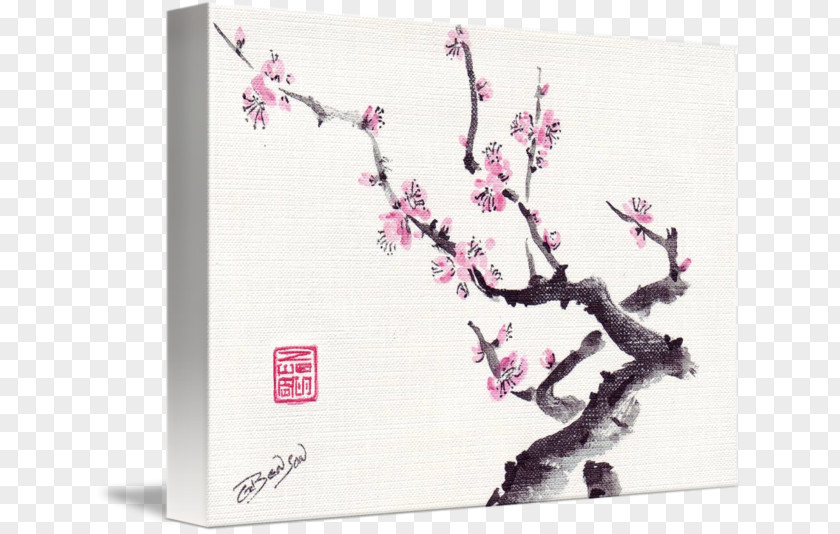 Plum Blossom Cherry Gallery Wrap Canvas Petal PNG