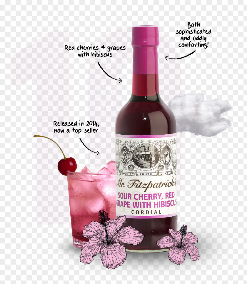 Cocktail Liqueur Squash Wine Elderflower Cordial PNG