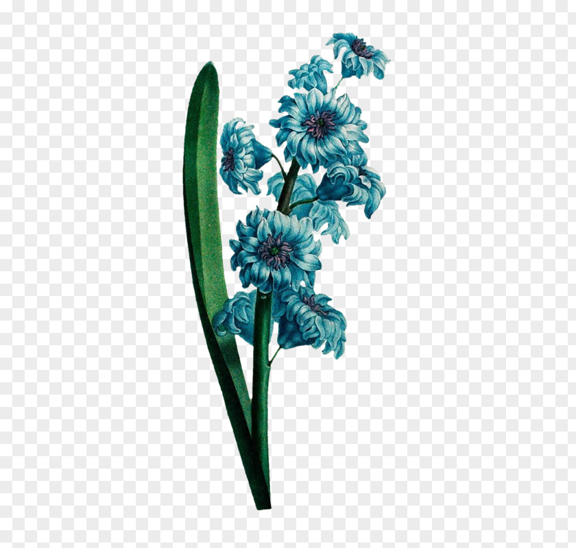 Cut Flowers Plant PNG