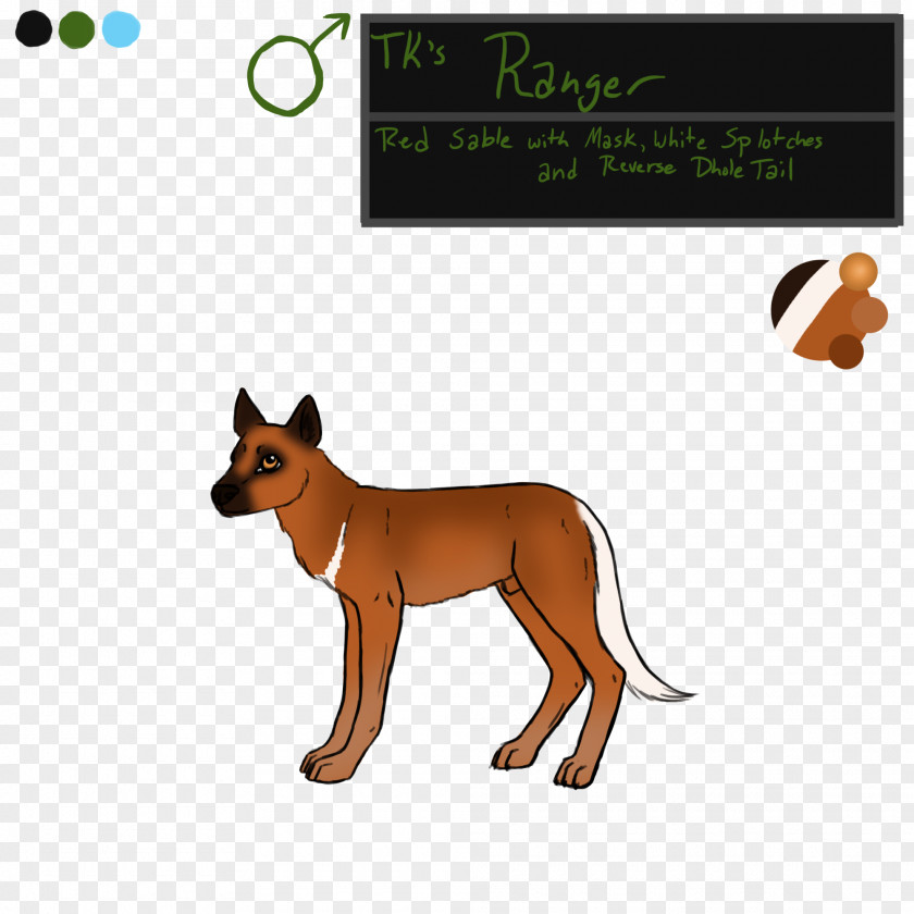 Dog Breed Red Fox Clip Art PNG